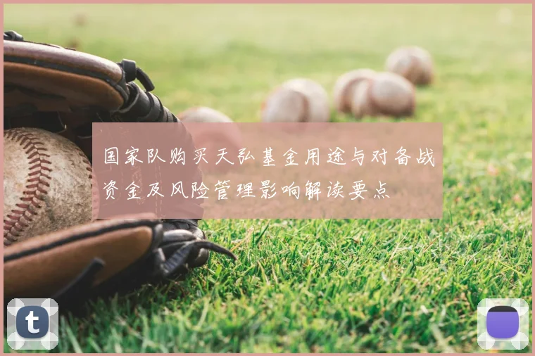 国家队购买天弘基金用途与对备战资金及风险管理影响解读要点