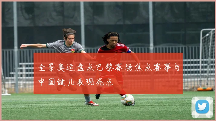 全景奥运盘点巴黎赛场焦点赛事与中国健儿表现亮点